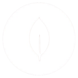 mongo logo